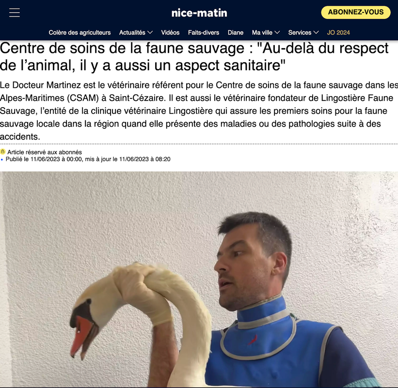 Nice Matin Faune Sauvage