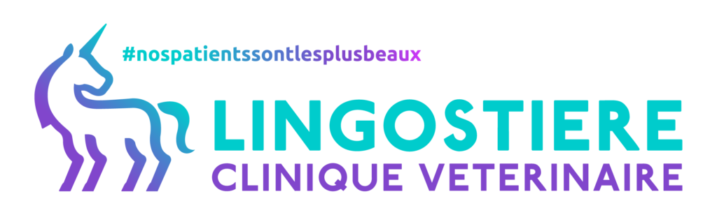 Prendre rdv en ligne au vétérinaire à Nice Lingostière