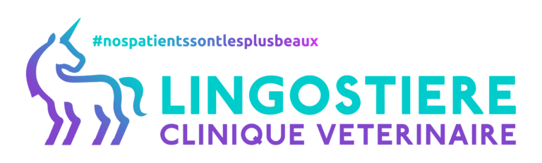 Lingostière Clinique Vétérinaire