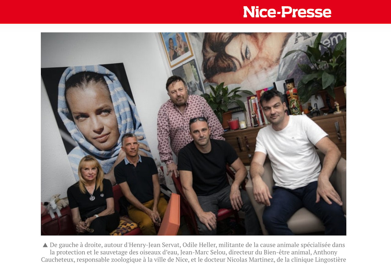 Nice Presse