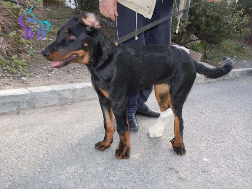 Guérison Flore tétanos après 17 jours