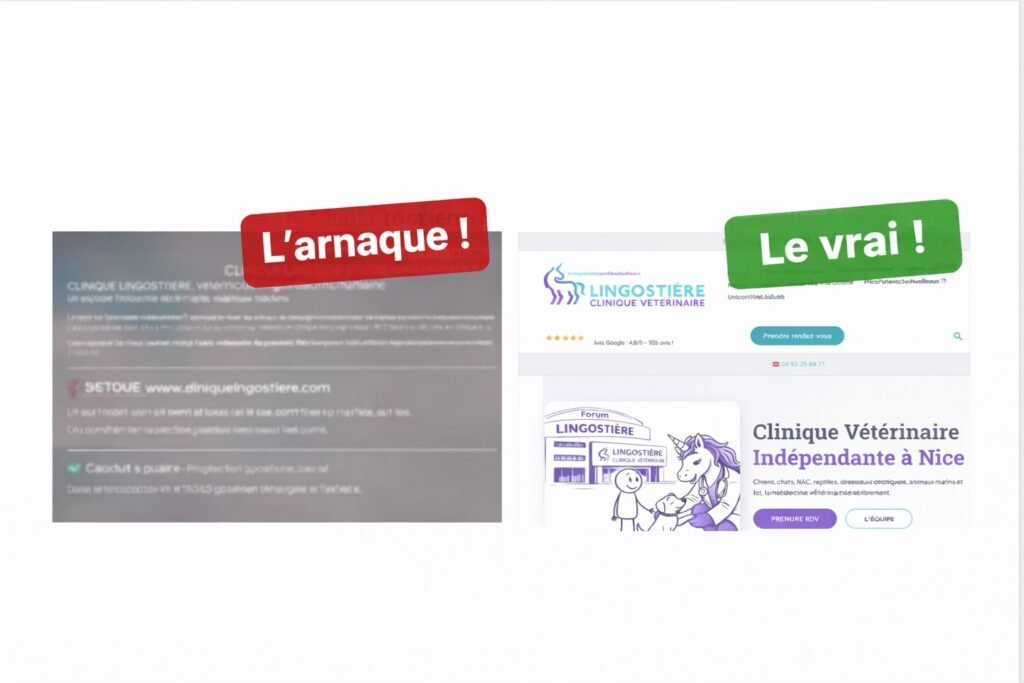 capture d'écran montrant le faux site cliniquelingostiere.com et le vrai site lingostiereveterinaires.fr On s'est fait pirater