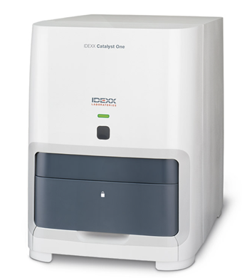 Analyseur biochimique Catalyst IDEXX Clinique Lingostière
