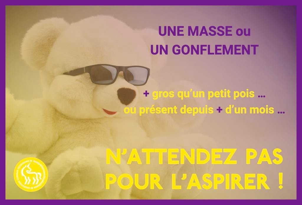 Examen d'une masse cutanée chez le chien