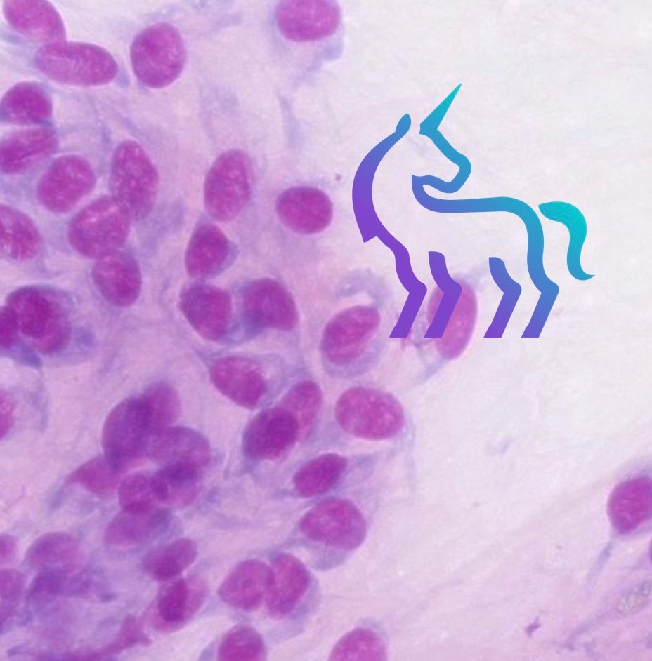 Sarcome tissus mous chien