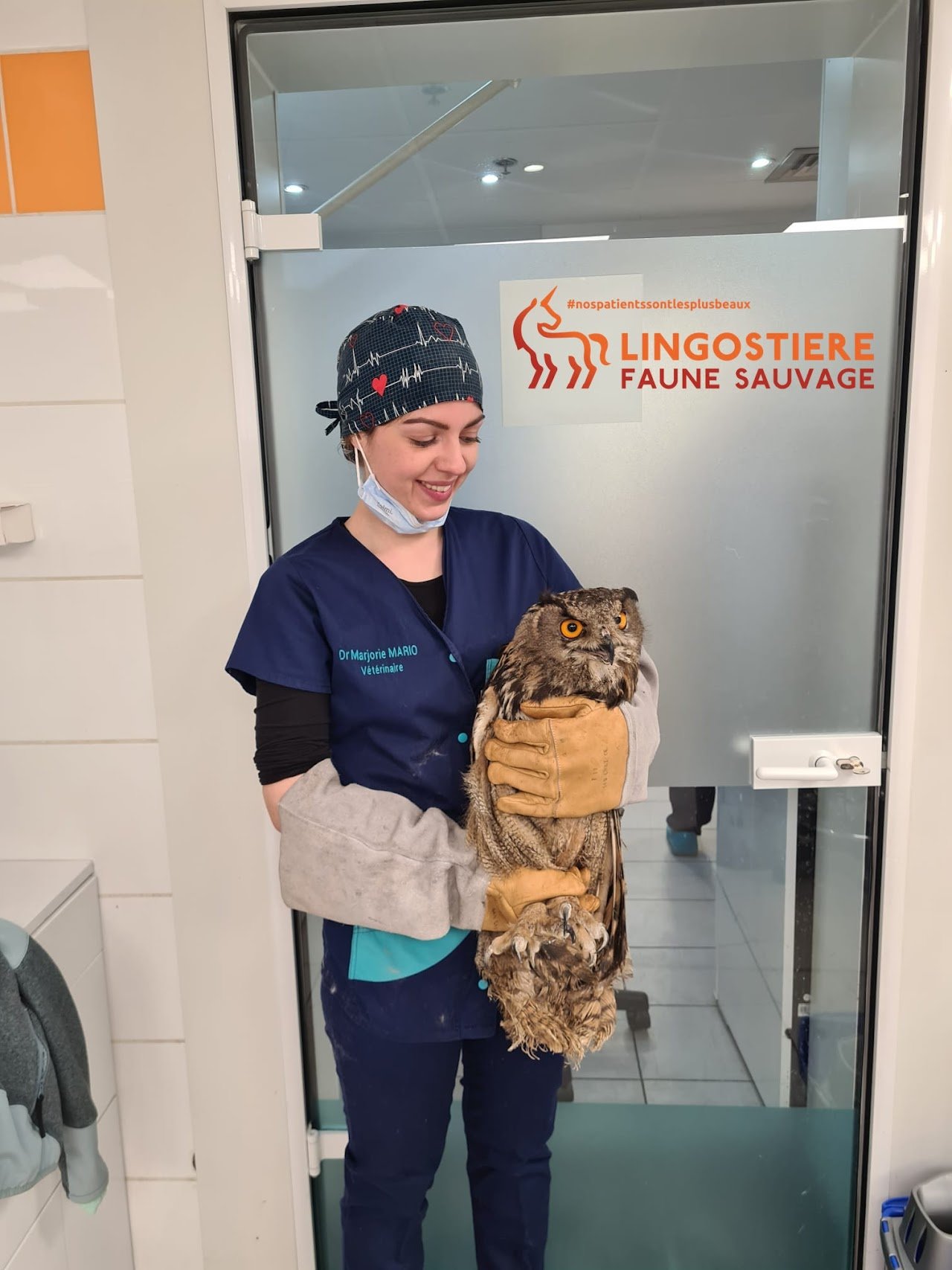 Dr Marjorie MARIO - Vétérinaire NACs Faune Sauvage