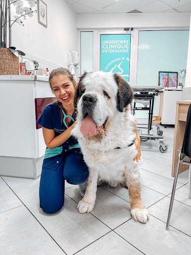 Dr Marjorie Mario Vétérinaire