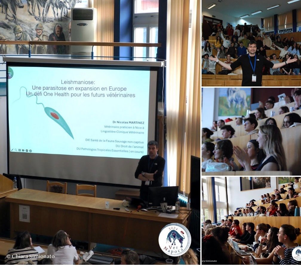 Conférence Dr Martinez Leishmaniose VetNapoca 2024