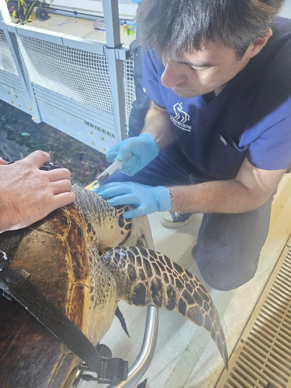 Dr Nicolas MARTINEZ - Expert faune marine