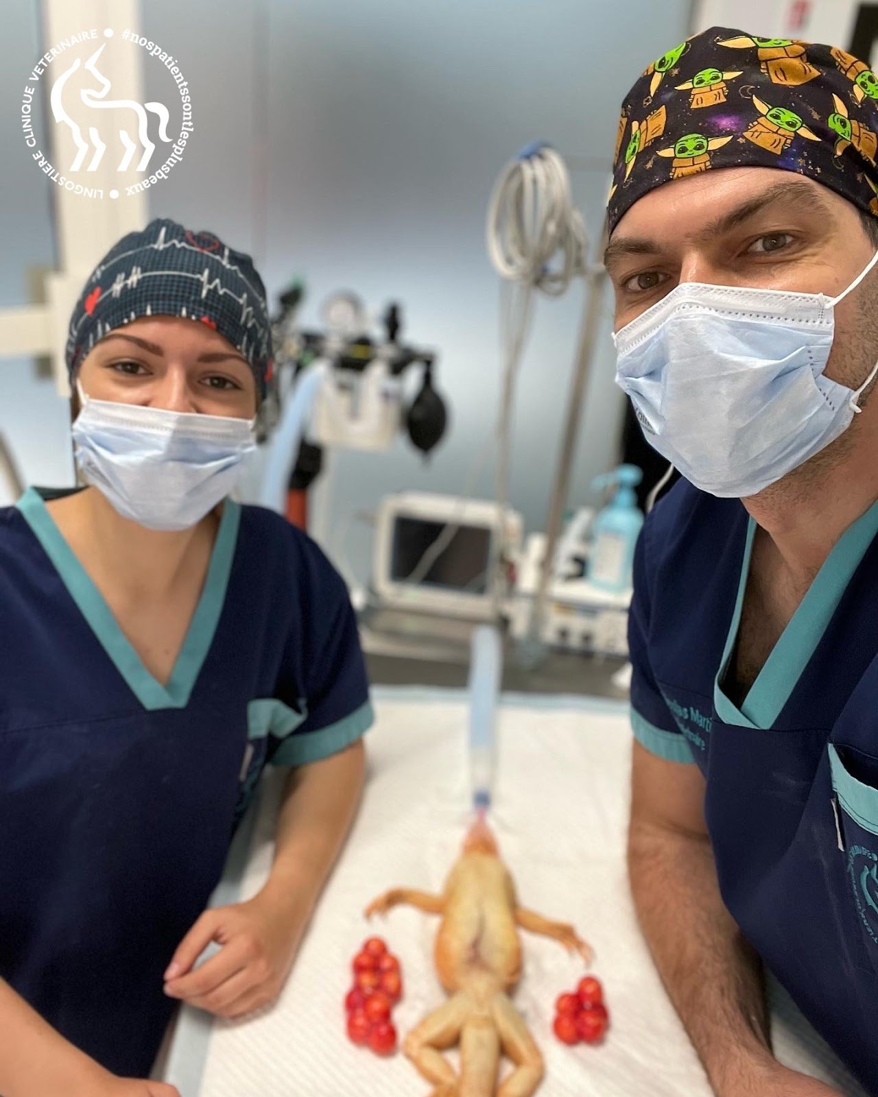 Drs Nicolas MARTINEZ et Marjorie MARIO - Spécialistes Reptiles Nice