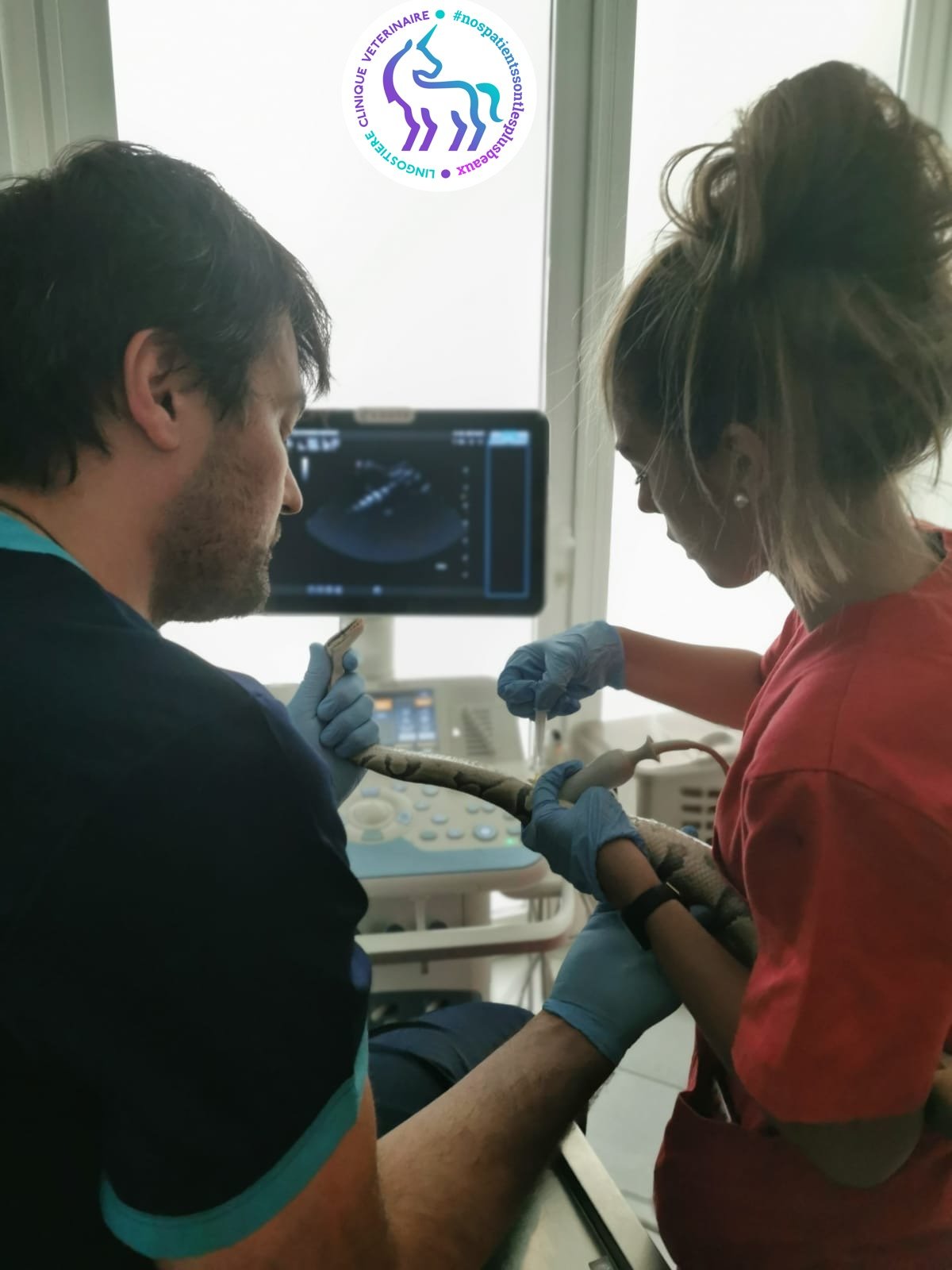 Drs Nicolas MARTINEZ et Marjorie MARIO - Vétérinaires Reptiles