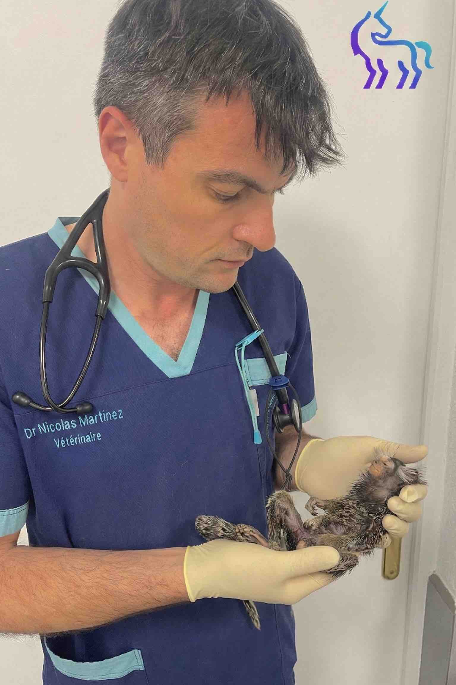 Dr Nicolas MARTINEZ - Vétérinaire spécialisé espèces exotiques