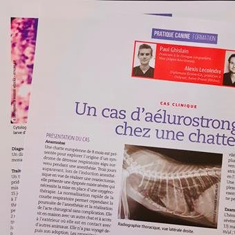 Dr Paul Ghislain en consultation à Nice