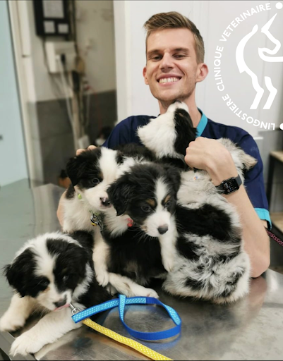 Dr Paul Ghislain en consultation