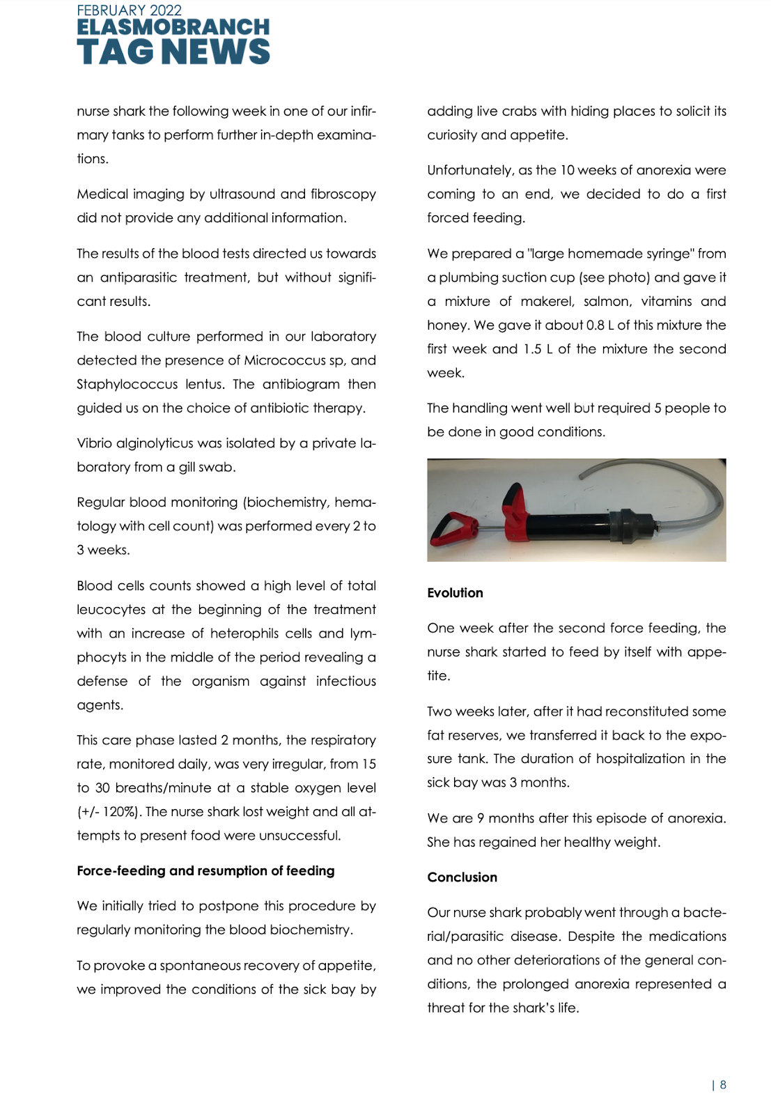 Requin avec une étiquette d'identification