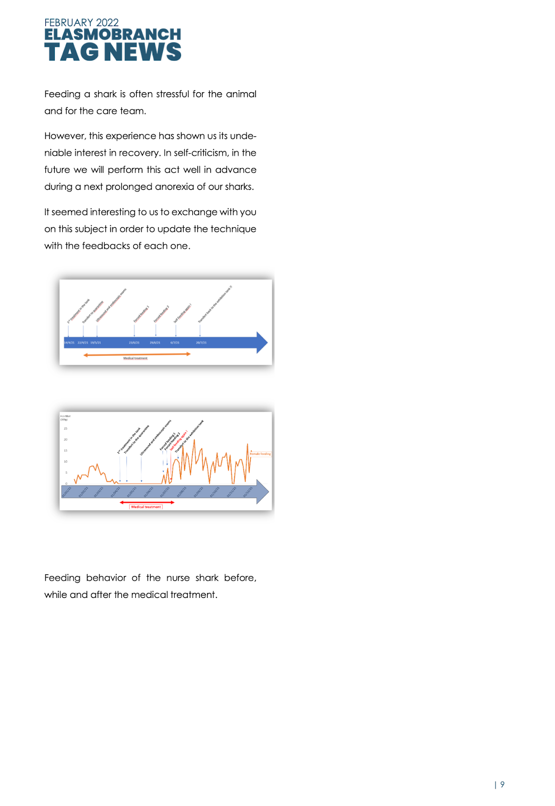 Gros plan sur l'intubation du requin