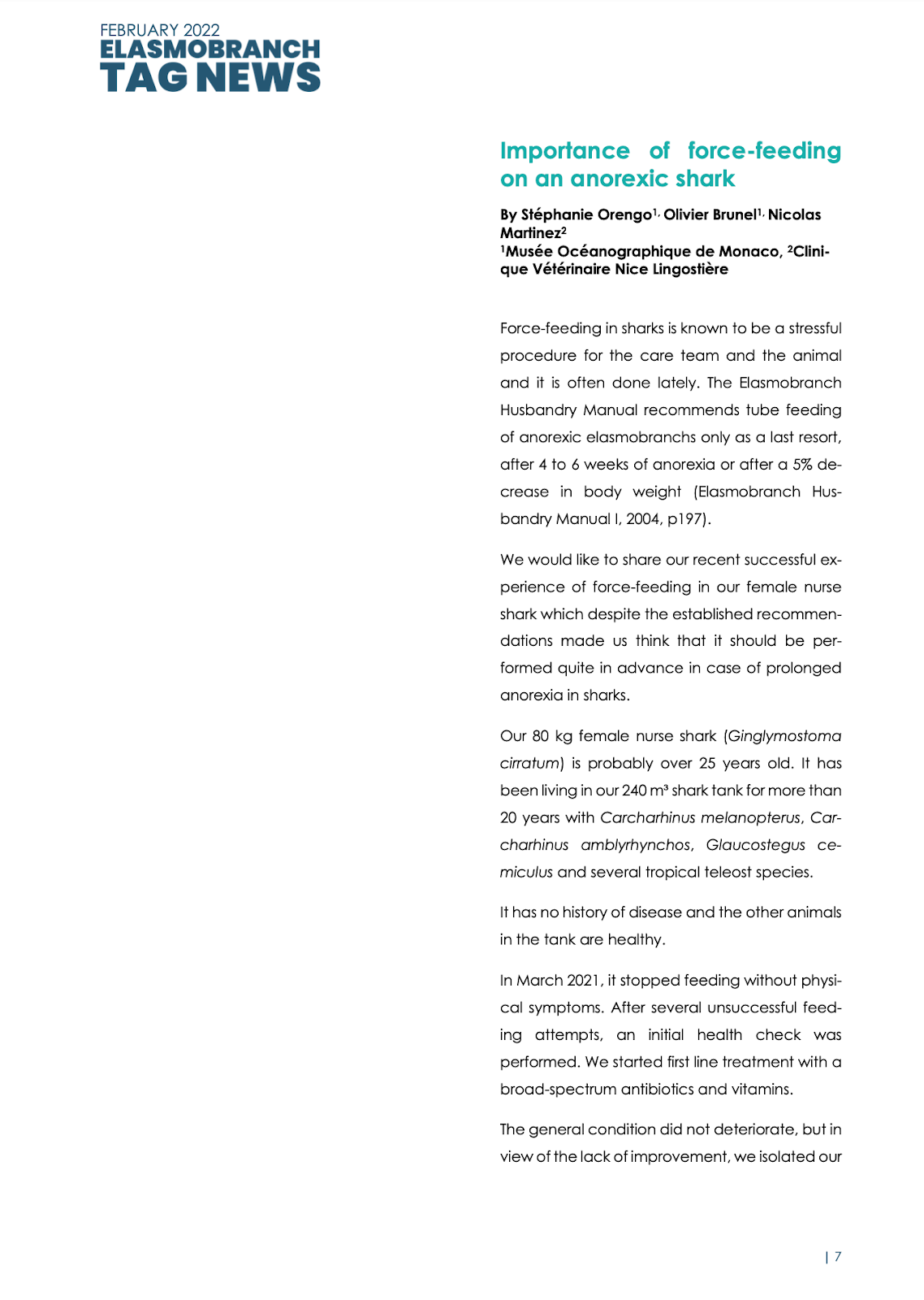 Contention et début de procédure de gavage sur un petit requin