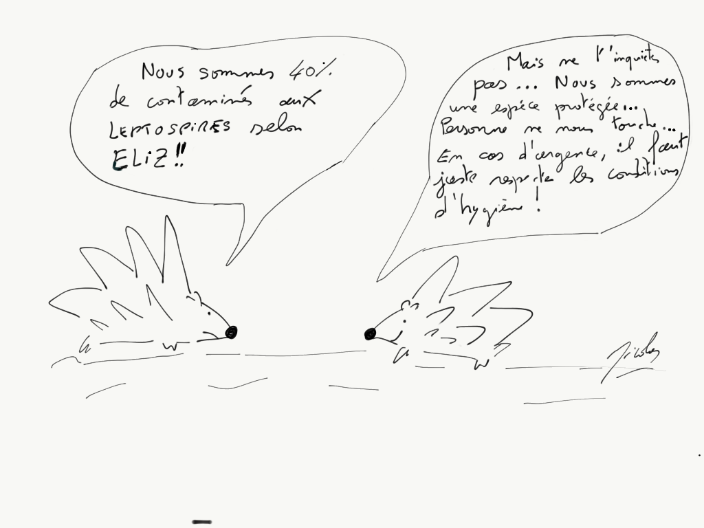 La Leptospirose - Expertise Dr Nicolas Martinez