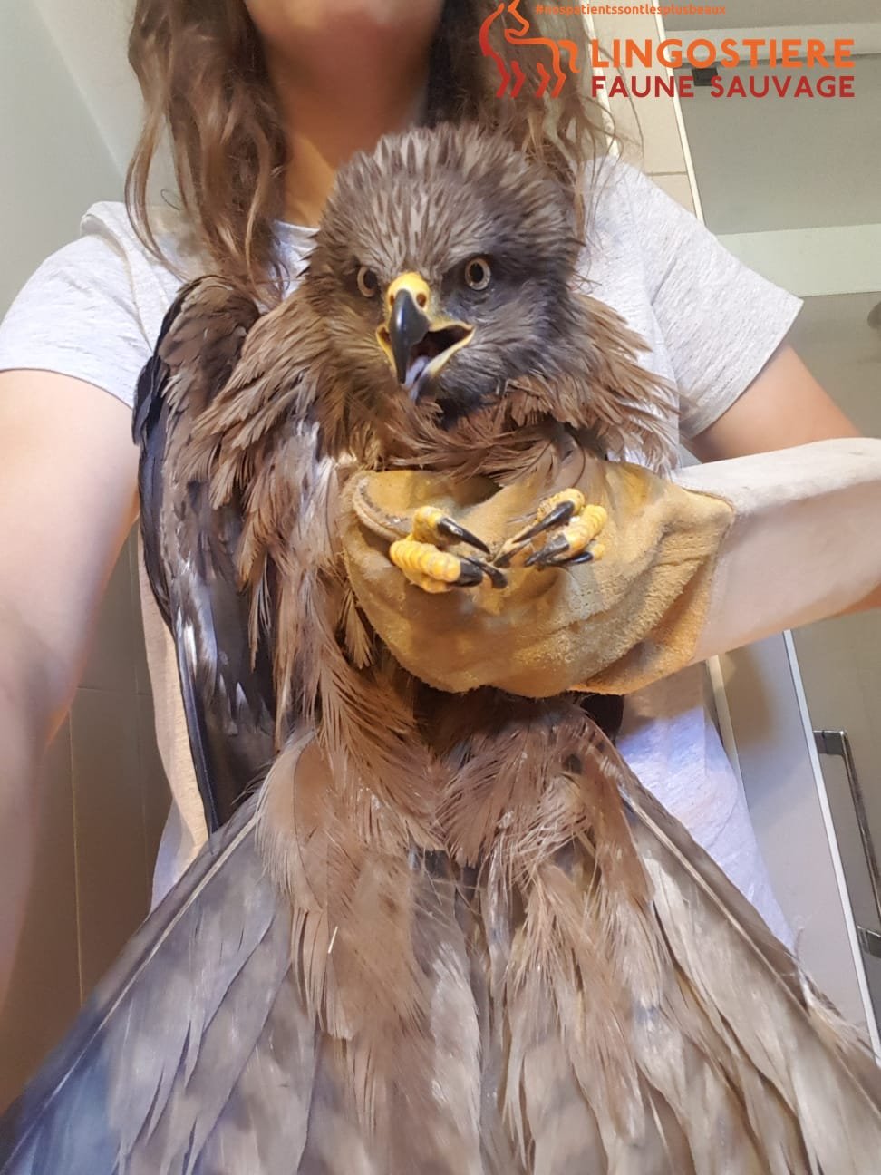 Milan noir 48h post sauvetage