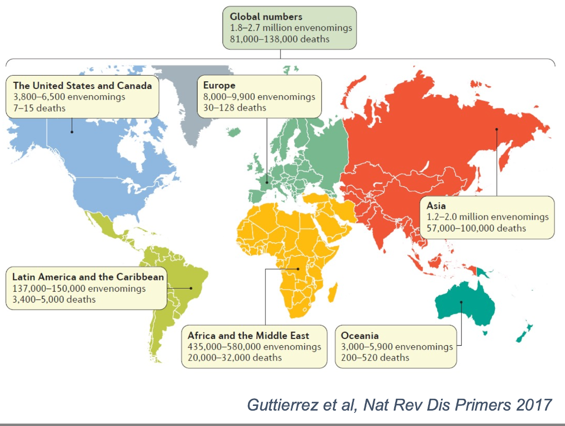 Statistiques mondiales des morsures de serpents