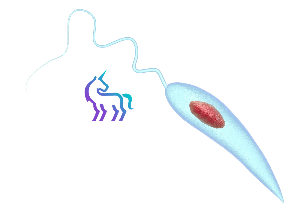 Parasitologie vétérinaire - Protection puces tiques Nice