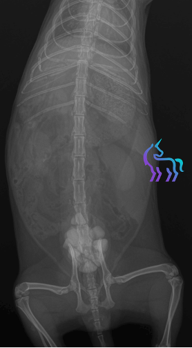 Radio calcul furet profil