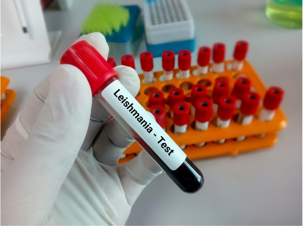 Test leishmaniose chez le chien - dépistage à Lingostière Clinique Vétérinaire à Nice