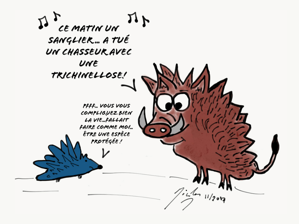 La Trichinellose - Dr Nicolas Martinez