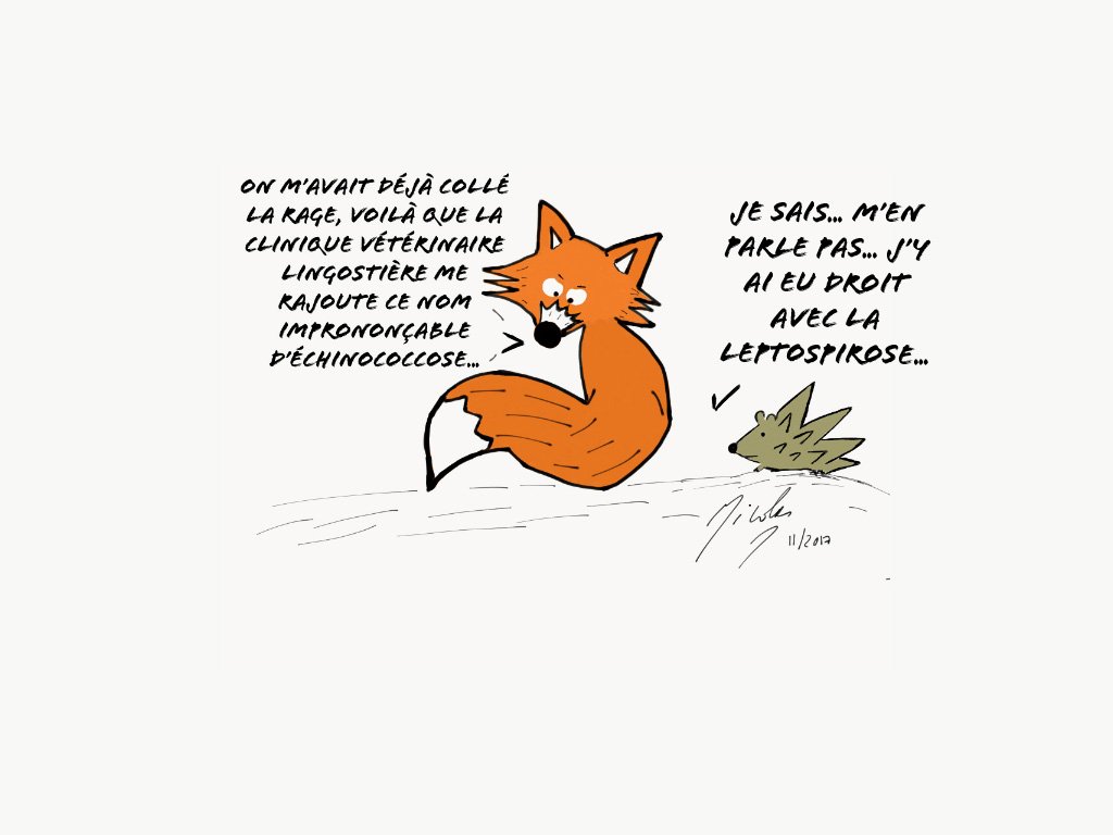 Échinococcose Alvéolaire - Dr Nicolas Martinez