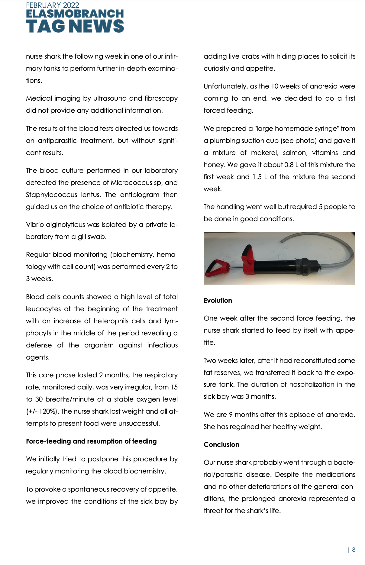 Nutrition et gavage requin anorexique